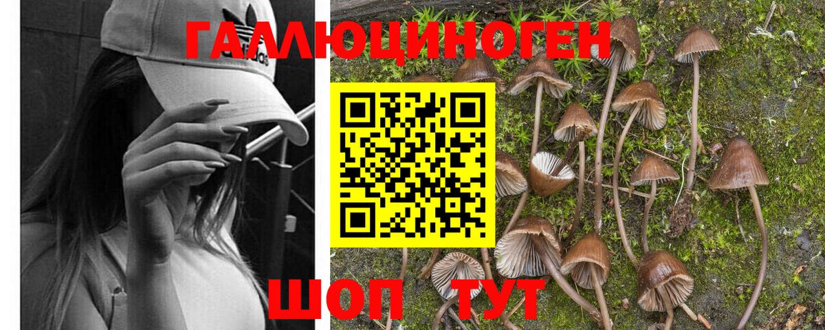 Галлюциногенные грибы мицелий  Вход с VPN  Кимры 