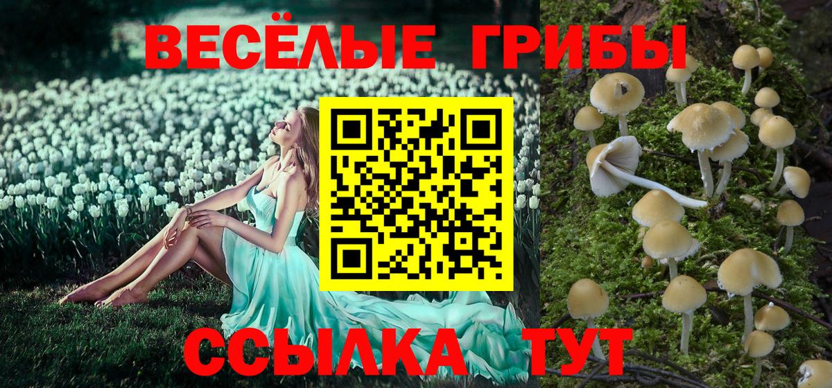 Псилоцибиновые грибы прущие грибы Кимры